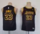 NBA Los Angeles Lakers #6 James Purple Youth Jersey