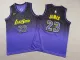 NBA Los Angeles Lakers #23 LeBron James Purple 2024 Stitched Youth Jersey