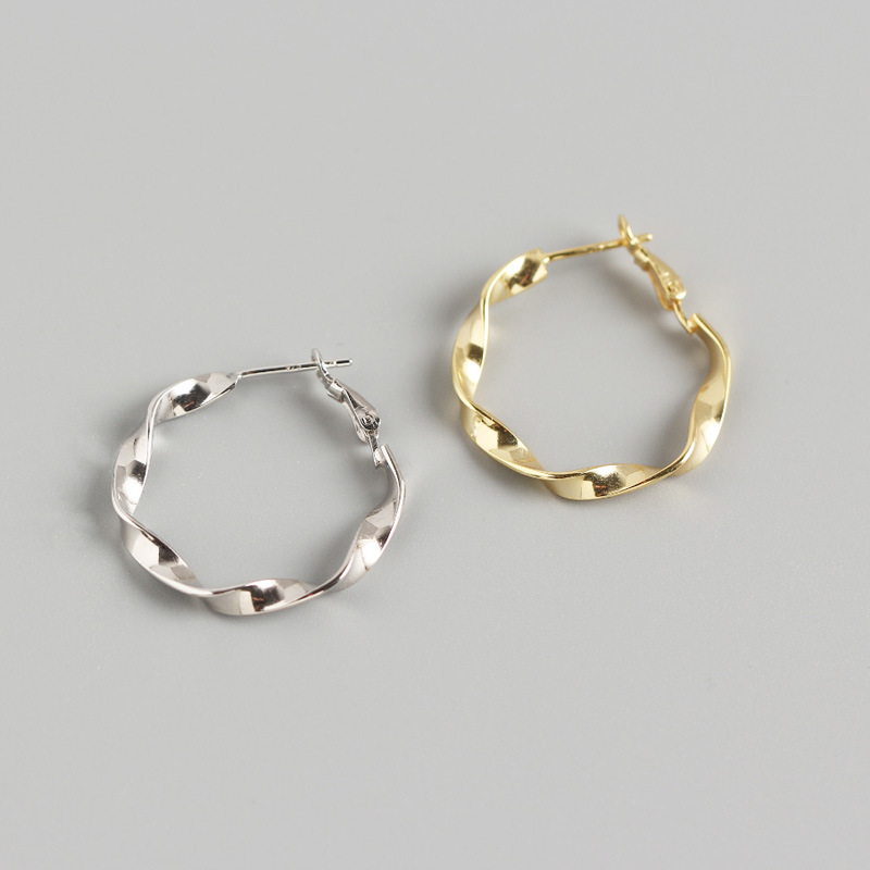 INS Mobius Band S925 Silver Earrings