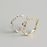 INS Mobius Band S925 Silver Earrings