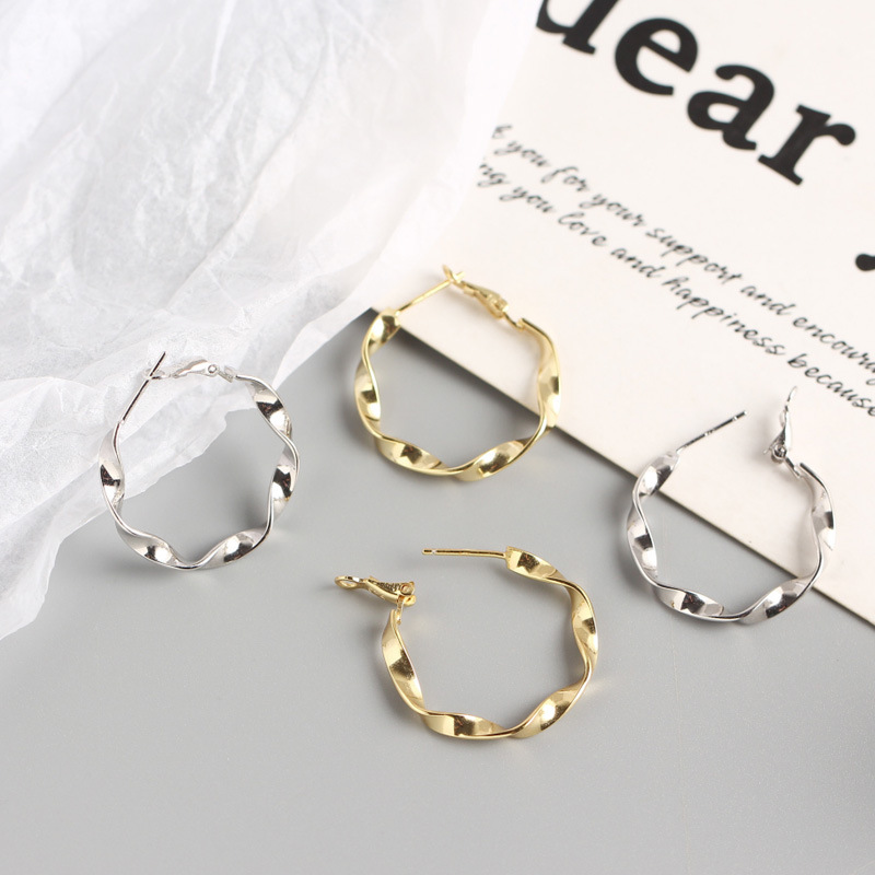 INS Mobius Band S925 Silver Earrings