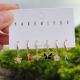 Set flowers charms earring