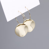 Simple Wafer Irregular Wave S925 Silver Earrings