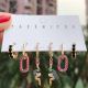 Set snake charms earring