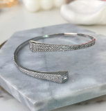 Pave zircon S bangle