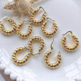 Solid twist Earring