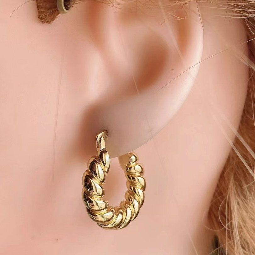Solid twist Earring