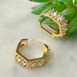 Zircon C Hoop Earrings