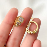 Fashion Pave Hoop Earrings
