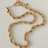 Stainless Steel Fat Twist Necklace