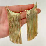 Chain Tassel earrings