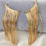 Chain Tassel earrings