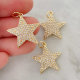 Star Charm