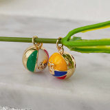 symbols of the national flag charm
