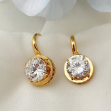 Big Zircon Round Earrings