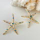 Star Earrings