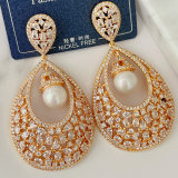 Big zircon earrings