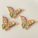 Colorful Butterfly Charm