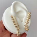 Pave Star earrings