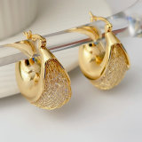 Crystal hoops earrings