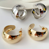Fashion hoops earrings