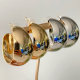 Fashion hoops earrings