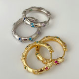 Colorful hoops earrings