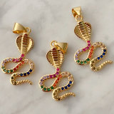 Coloful snake charm