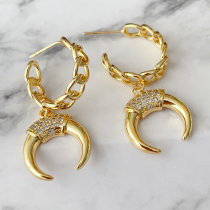 Chain hoops earrings with horn pendant