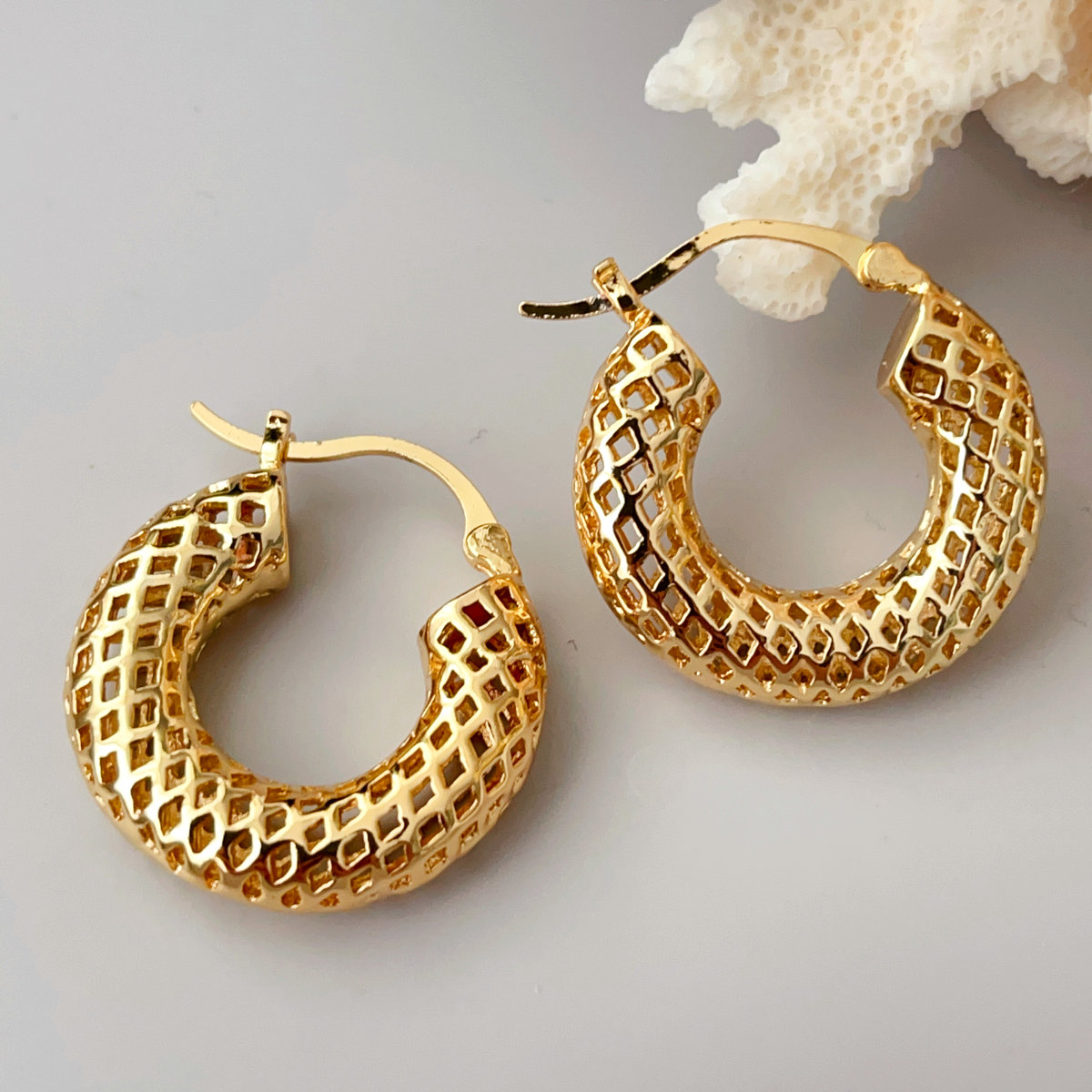 Fashion Chunky hoop earrings