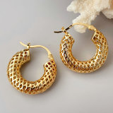 Fashion Chunky hoop earrings