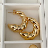 Metal chunky twist earrings