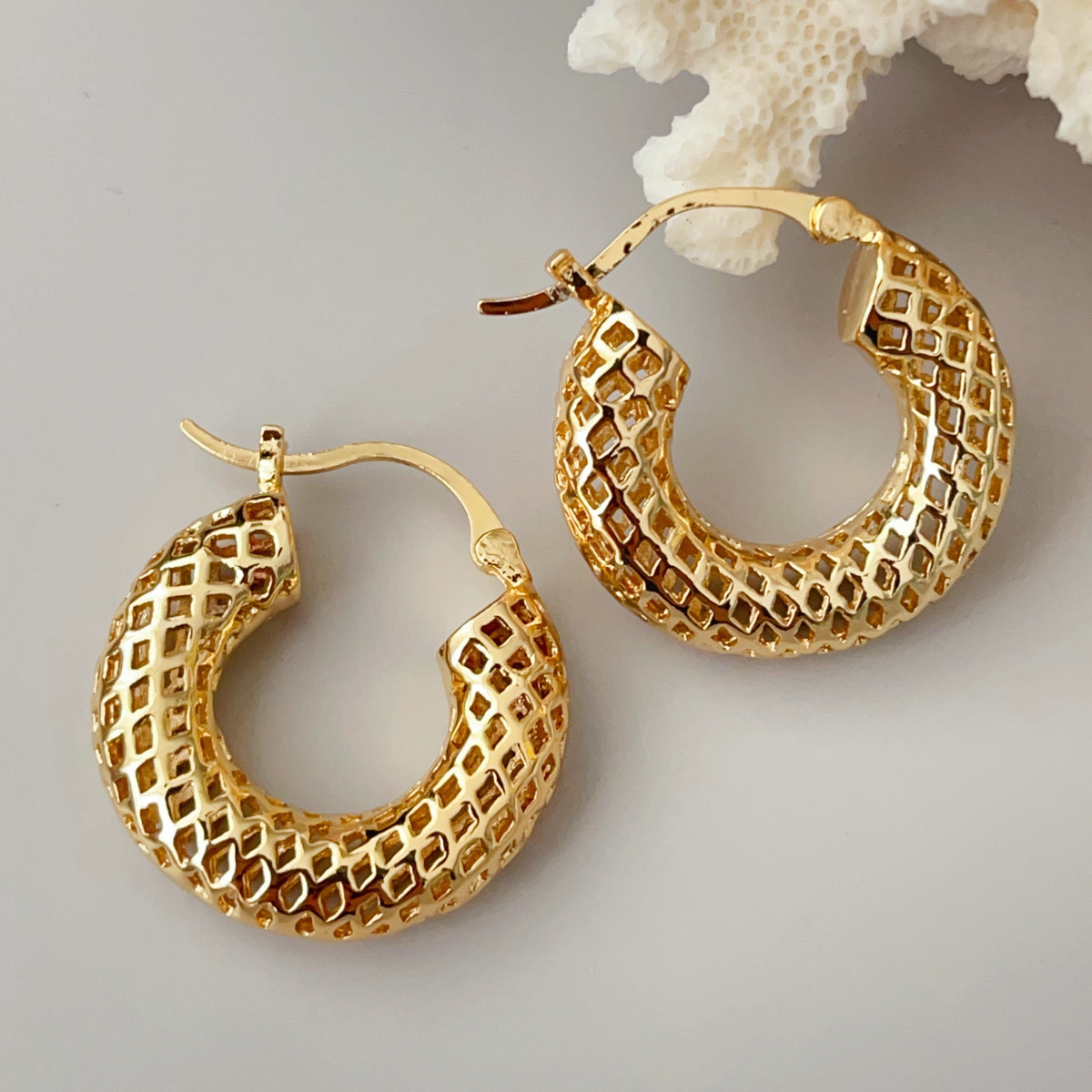 Fashion Chunky hoop earrings