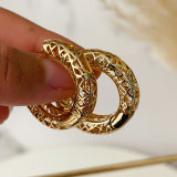Fashion Chunky hoop earrings