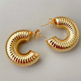 Chunky hoop basic earrings