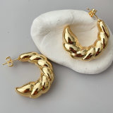 Metal chunky twist earrings