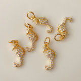 Pave hippocampus charm