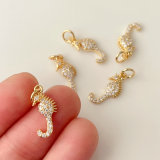 Pave hippocampus charm