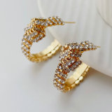 Crystal dow hoop earrings