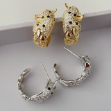 Paev lion hoops