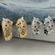 Paev lion hoops