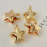 Metal star earrings