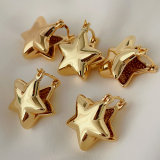 Metal star earrings