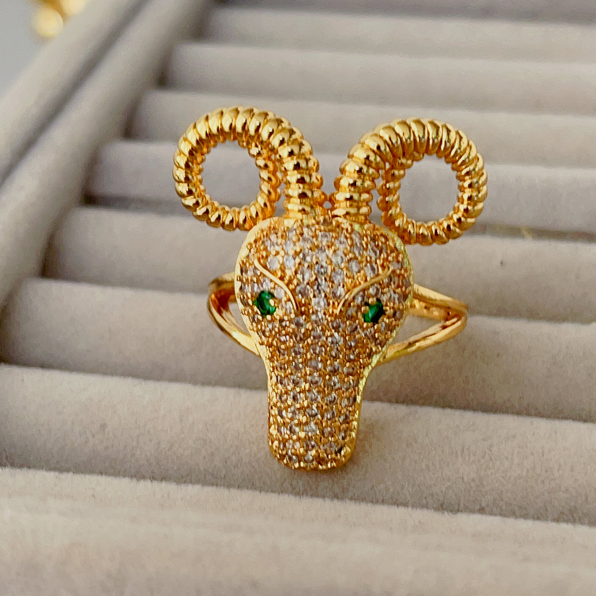 Pave sheep ring