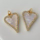 Shell charm