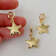 Star charm