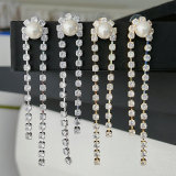 Long tassel party earrings
