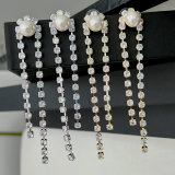 Long tassel party earrings
