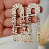 Pave long zircon party earrings
