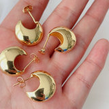 Metal moon earrings